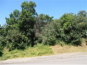 terrain à la vente -   57320  FREISTROFF, surface 547 m2 vente terrain - UBI478070810
